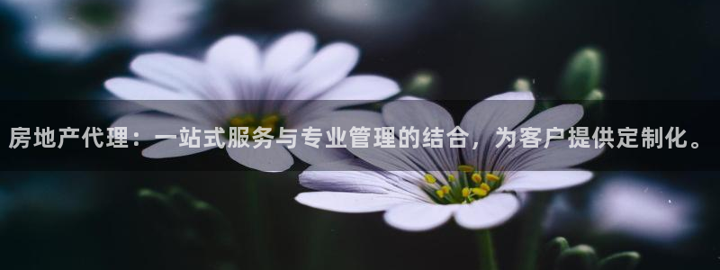 和记大合城dk2官网：房地产代理：一站式服务与专业管理的结合