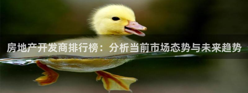 和记娱乐h88官网约凯发来就送68：房地产开发商排行榜：分析