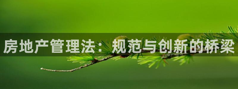 澳门和记官网：房地产管理法：规范与创新的桥梁