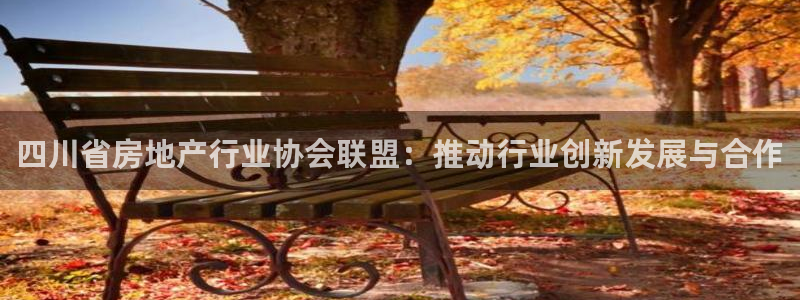 和记娱乐 怡情搏娱官网：四川省房地产行业协会联盟：推动行业创