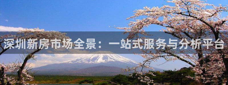 和记娱解答h88285官网：深圳新房市场全景：一站式服务与分