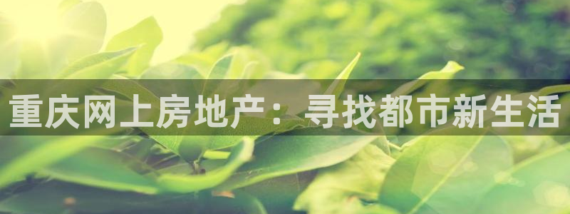和帆记加盟官网：重庆网上房地产：寻找都市新生活