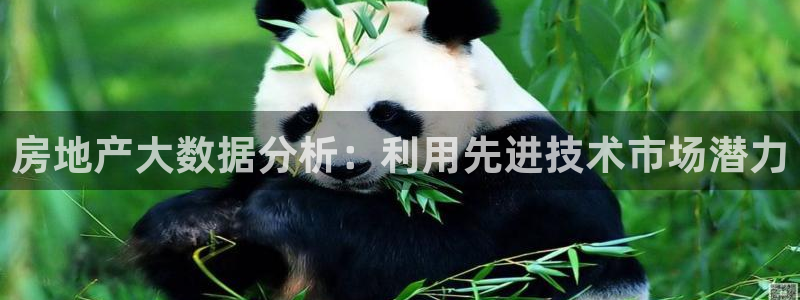 和记手机客户端官网：房地产大数据分析：利用先进技术市场潜力