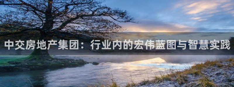 和记电讯 官网：中交房地产集团：行业内的宏伟蓝图与智慧实践