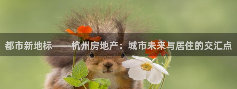和记娱技精h88285官网：都市新地标——杭州房地产：城市未
