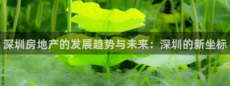 和记黄埔官网：深圳房地产的发展趋势与未来：深圳的新坐标