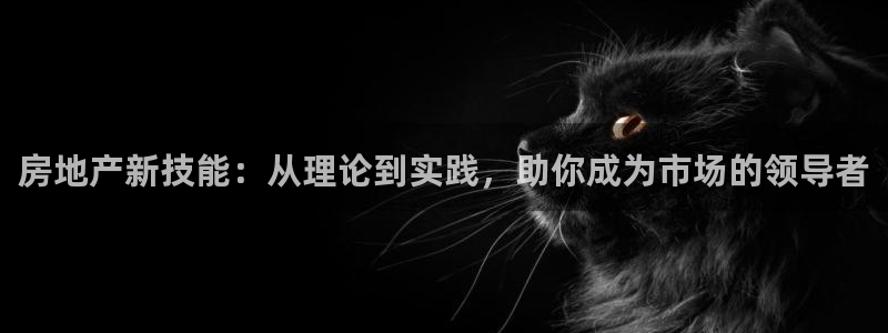 和记娱可信赖h88285官网：房地产新技能：从理论到实践，助