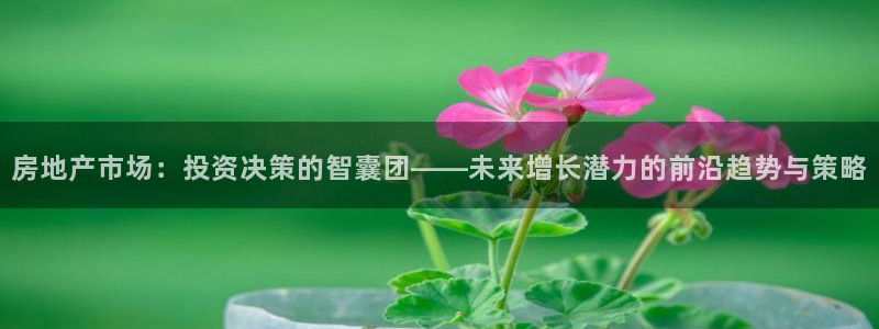 和记娱哪个位置h88285官网：房地产市场：投资决策的智囊团