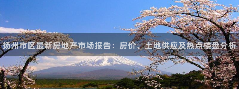 和记娱哪个位置h88285官网：扬州市区最新房地产市场报告：