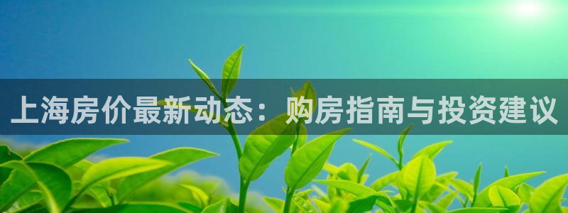 和记国际官网电话：上海房价最新动态：购房指南与投资建议