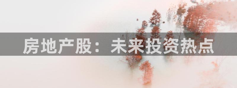 和记 中国官网：房地产股：未来投资热点
