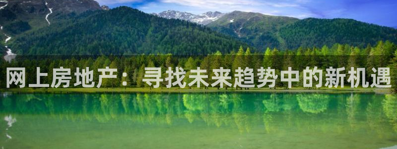 和记餐厅官网：网上房地产：寻找未来趋势中的新机遇