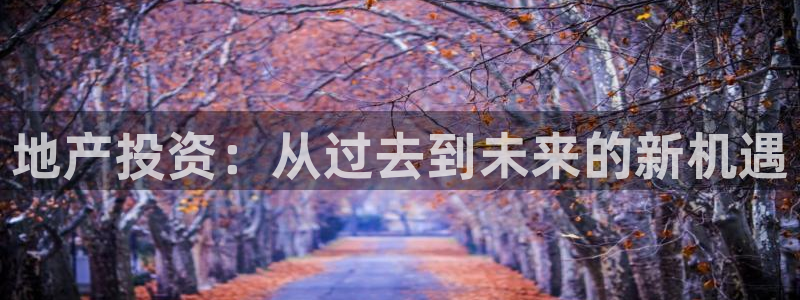 和记h1888怡情官网：地产投资：从过去到未来的新机遇