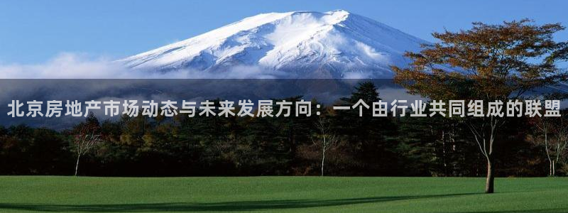 和兴记官网：北京房地产市场动态与未来发展方向：一个由行业共同