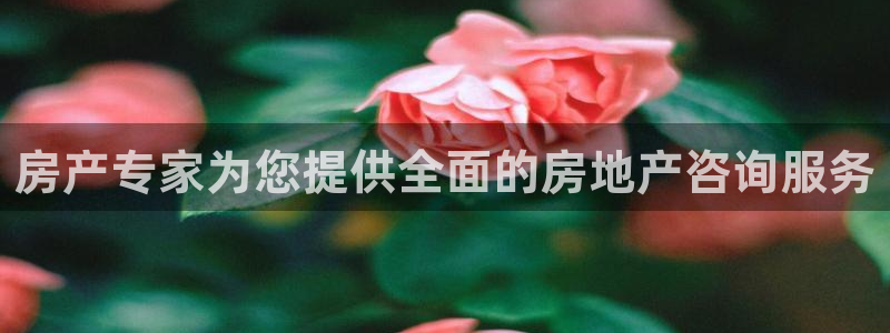 和记国际官网：房产专家为您提供全面的房地产咨询服务