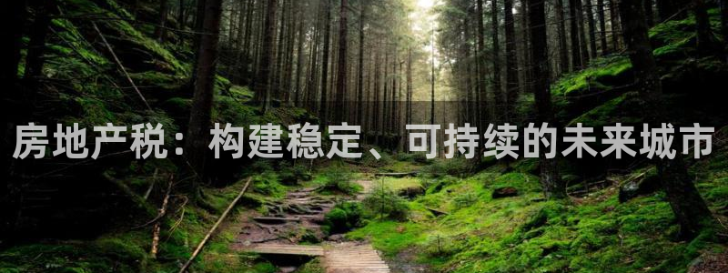 和记家家加盟官网：房地产税：构建稳定、可持续的未来城市
