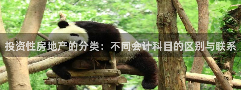 和力记易官网：投资性房地产的分类：不同会计科目的区别与联系