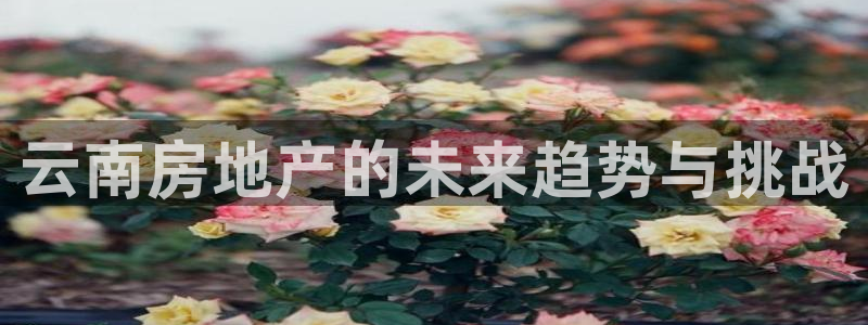 和记手机官网：云南房地产的未来趋势与挑战