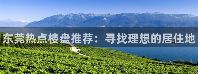 和记黄埔 官网：东莞热点楼盘推荐：寻找理想的居住地