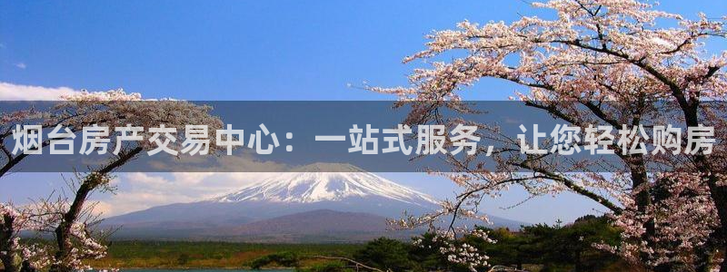 和记怡情博物官网：烟台房产交易中心：一站式服务，让您轻松购房
