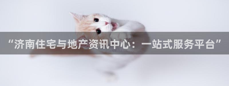 元和记官网：“济南住宅与地产资讯中心：一站式服务平台”