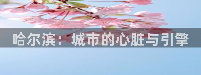 果博官网和记：哈尔滨：城市的心脏与引擎