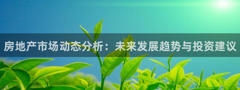 印尼和记官网：房地产市场动态分析：未来发展趋势与投资建议