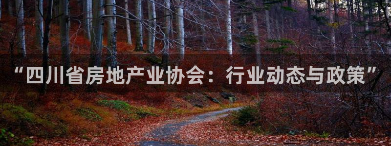澳门和记电讯官网：“四川省房地产业协会：行业动态与政策”