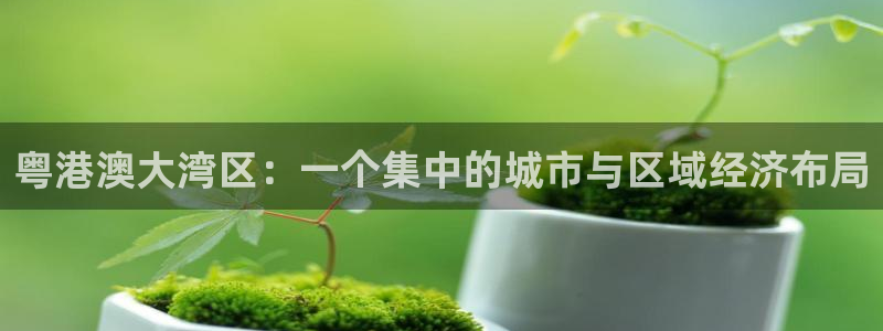 和记电讯 官网：粤港澳大湾区：一个集中的城市与区域经济布局