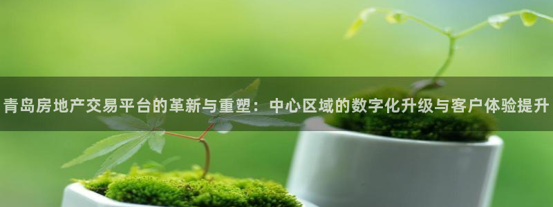 澳门和记客服官网：青岛房地产交易平台的革新与重塑：中心区域的