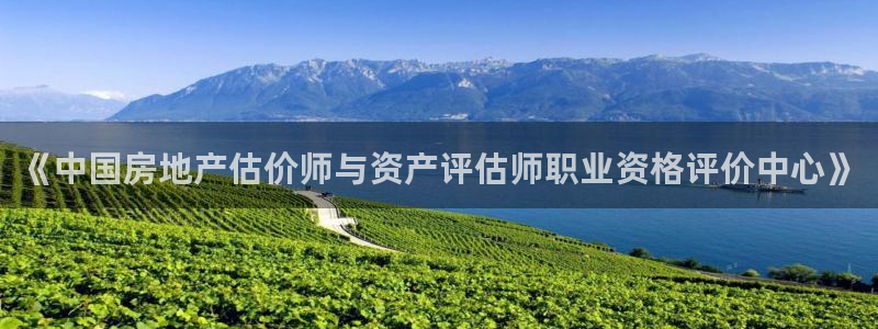 和记官网客服app：《中国房地产估价师与资产评估师职业资格评