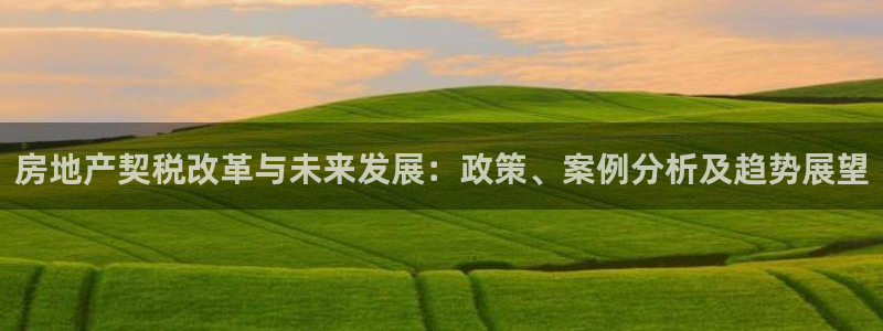 和记网址官网：房地产契税改革与未来发展：政策、案例分析及趋势