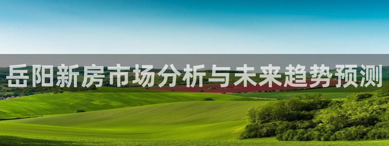 和记隆官网：岳阳新房市场分析与未来趋势预测