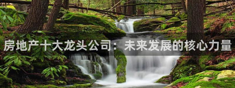 和记3电讯官网：房地产十大龙头公司：未来发展的核心力量