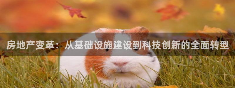 和记app官方官网登录：房地产变革：从基础设施建设到科技创新