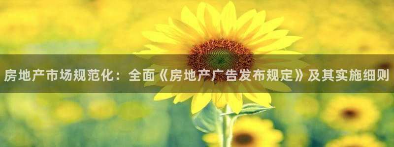 和记洋行官网：房地产市场规范化：全面《房地产广告发布规定》及