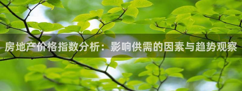和记平台网站官网：房地产价格指数分析：影响供需的因素与趋势观