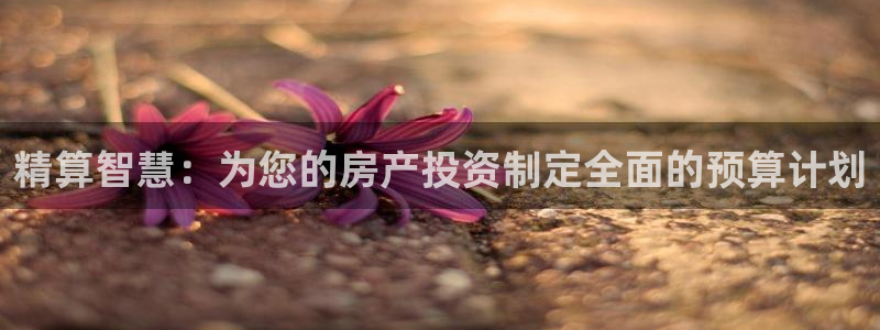 胡和记官网：精算智慧：为您的房产投资制定全面的预算计划