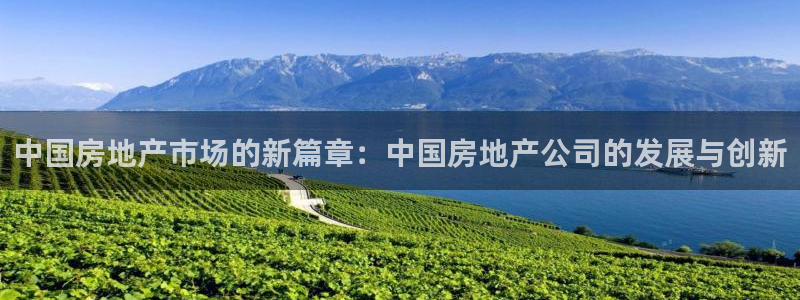 和记混凝土官网：中国房地产市场的新篇章：中国房地产公司的发展