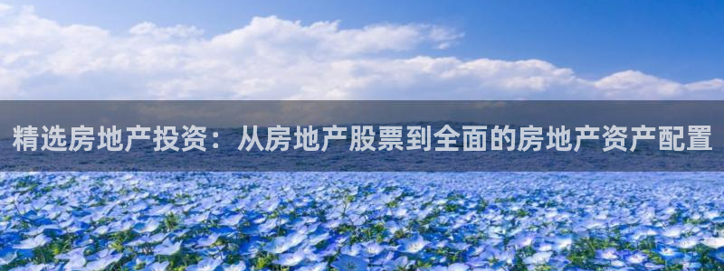 和记官网ap：精选房地产投资：从房地产股票到全面的房地产资产