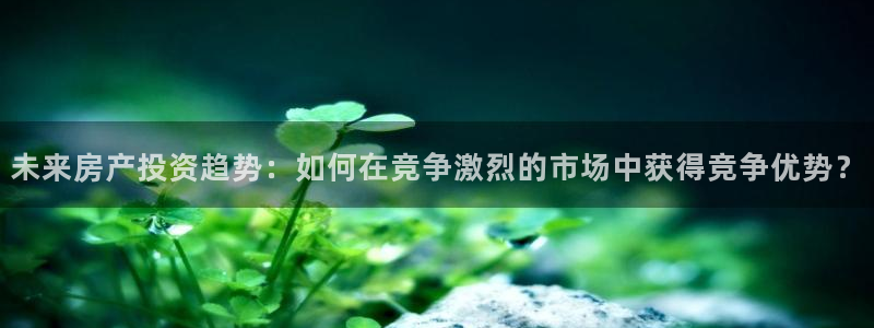 和记3电讯 官网：未来房产投资趋势：如何在竞争激烈的市场中获