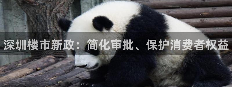 成都和记黄埔地产官网：深圳楼市新政：简化审批、保护消费者权益