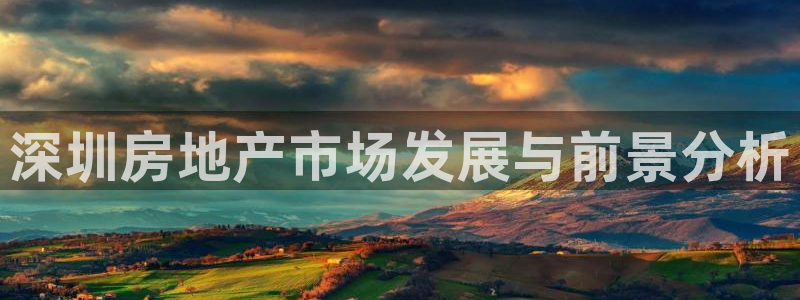 和记 官网：深圳房地产市场发展与前景分析