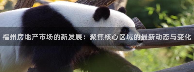 和记一品官网：福州房地产市场的新发展：聚焦核心区域的最新动态
