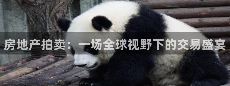 成都和记公司官网：房地产拍卖：一场全球视野下的交易盛宴