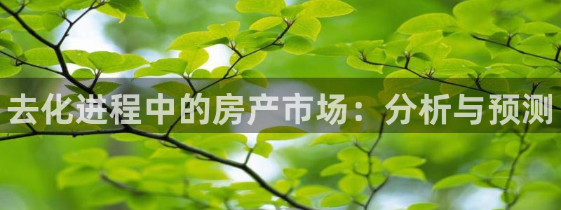 毛记和意冒菜官网加盟：去化进程中的房产市场：分析与预测
