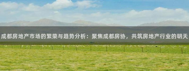 和记官网app：成都房地产市场的繁荣与趋势分析：聚焦成都房协