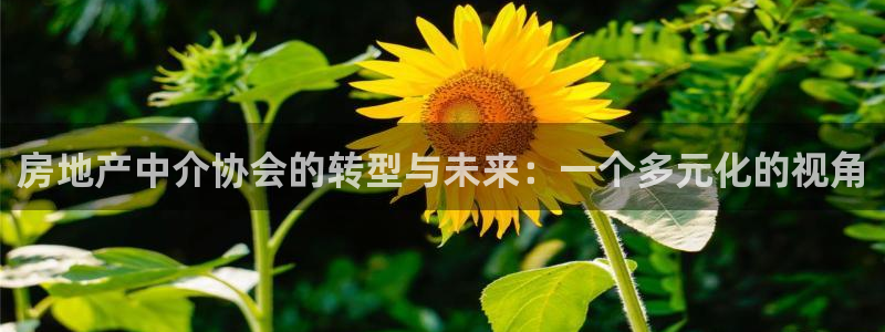 和记官网手机版