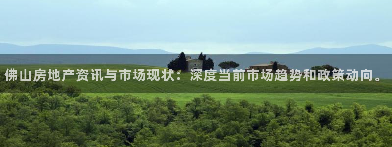印尼和记官网：佛山房地产资讯与市场现状：深度当前市场趋势和政