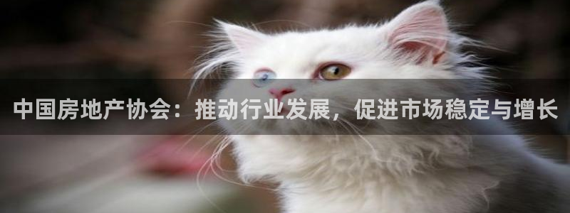 和记官网怡情娱乐：中国房地产协会：推动行业发展，促进市场稳定